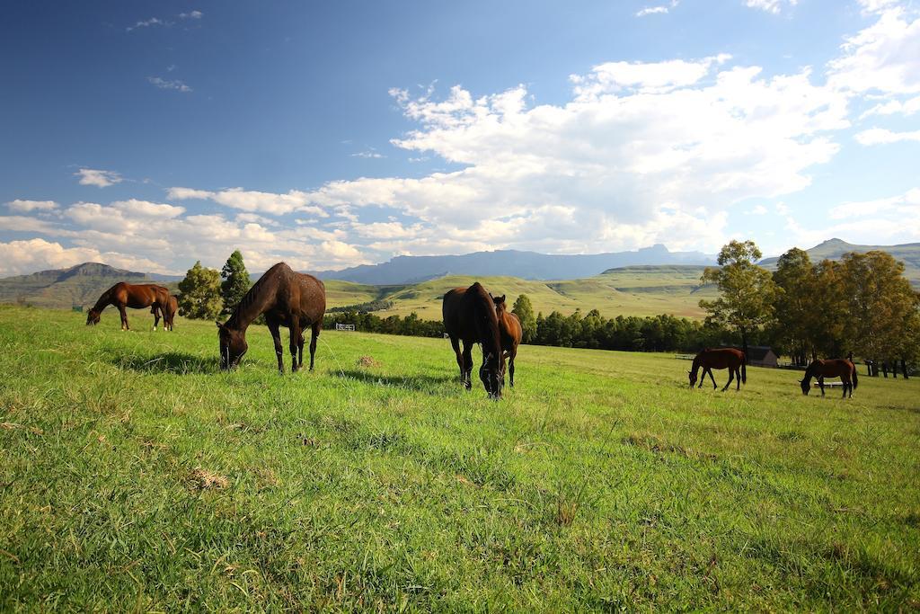 Montusi Mountain Lodge Bonjaneni Zewnętrze zdjęcie
